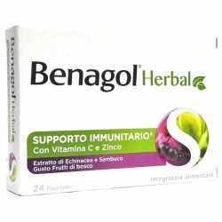 BENAGOL HERBAL FRUT BOS 24PAST